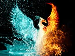 Transformation Possibilities Phoenix Rising From The Ashes Ava Eagle Brown